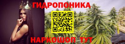 индика Моздок