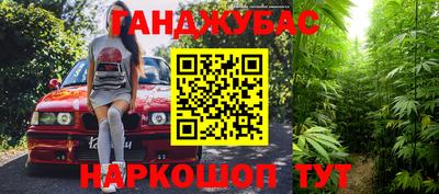 индика Моздок