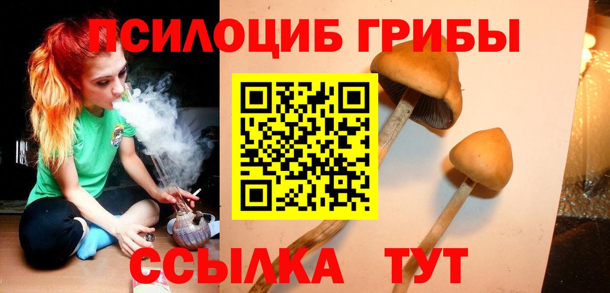 Галлюциногенные грибы мицелий Тобольск