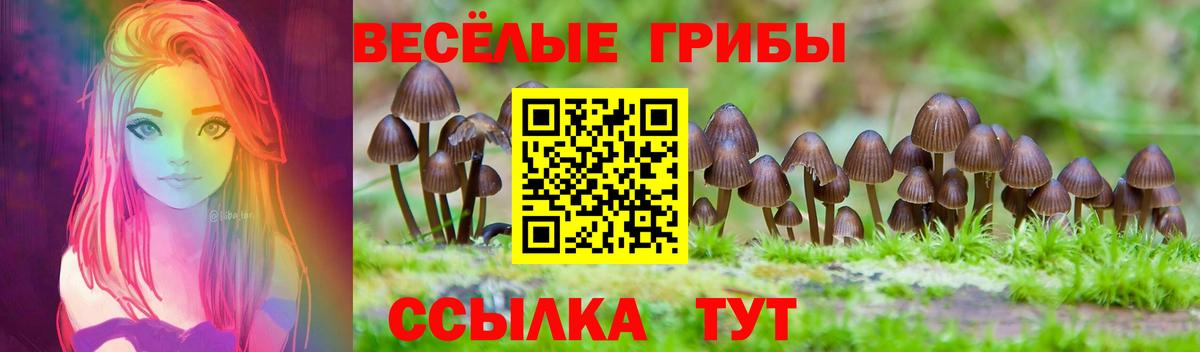Галлюциногенные грибы Cubensis  купить   Тобольск  Вход с VPN 
